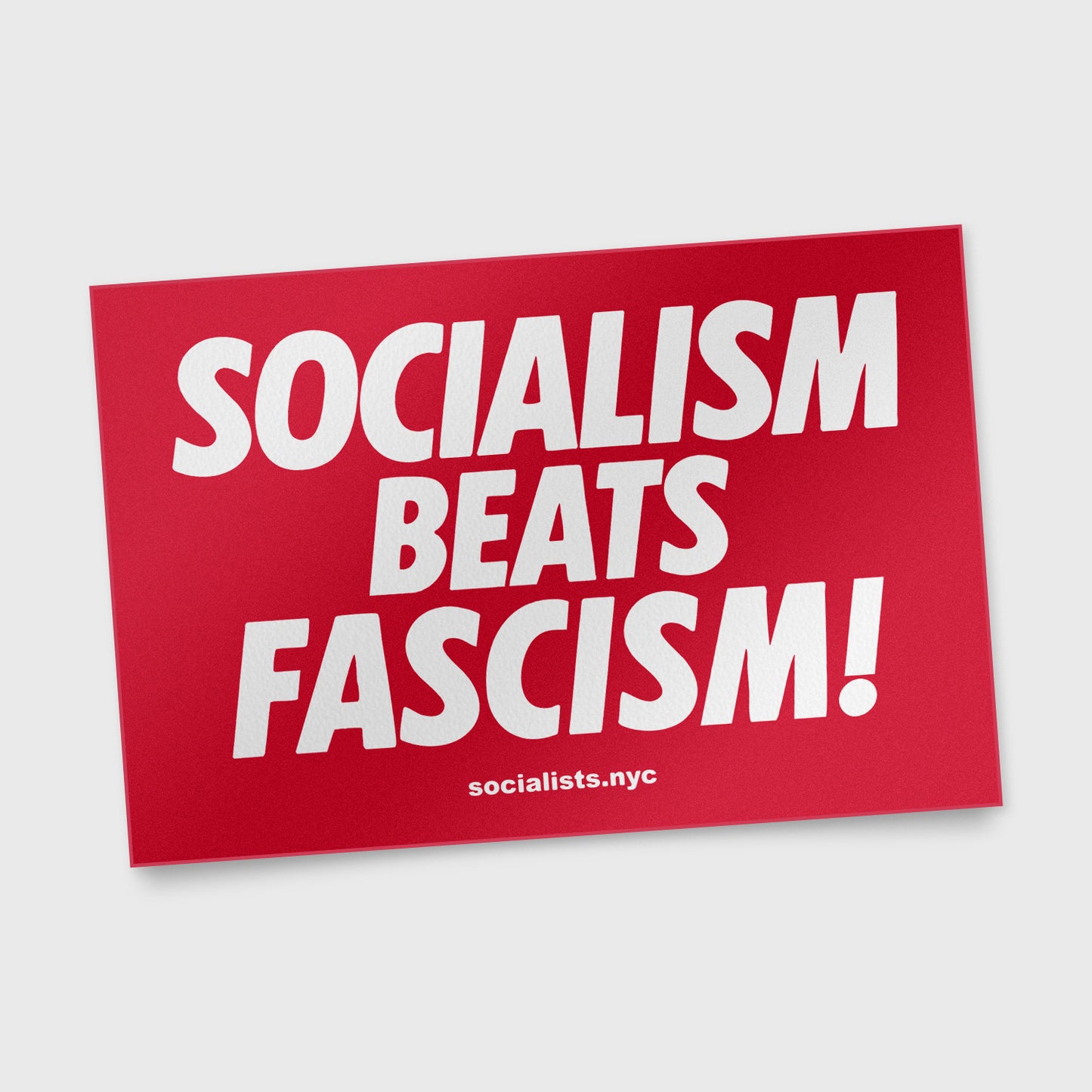 Socialism Beats Fascism Sticker Pack