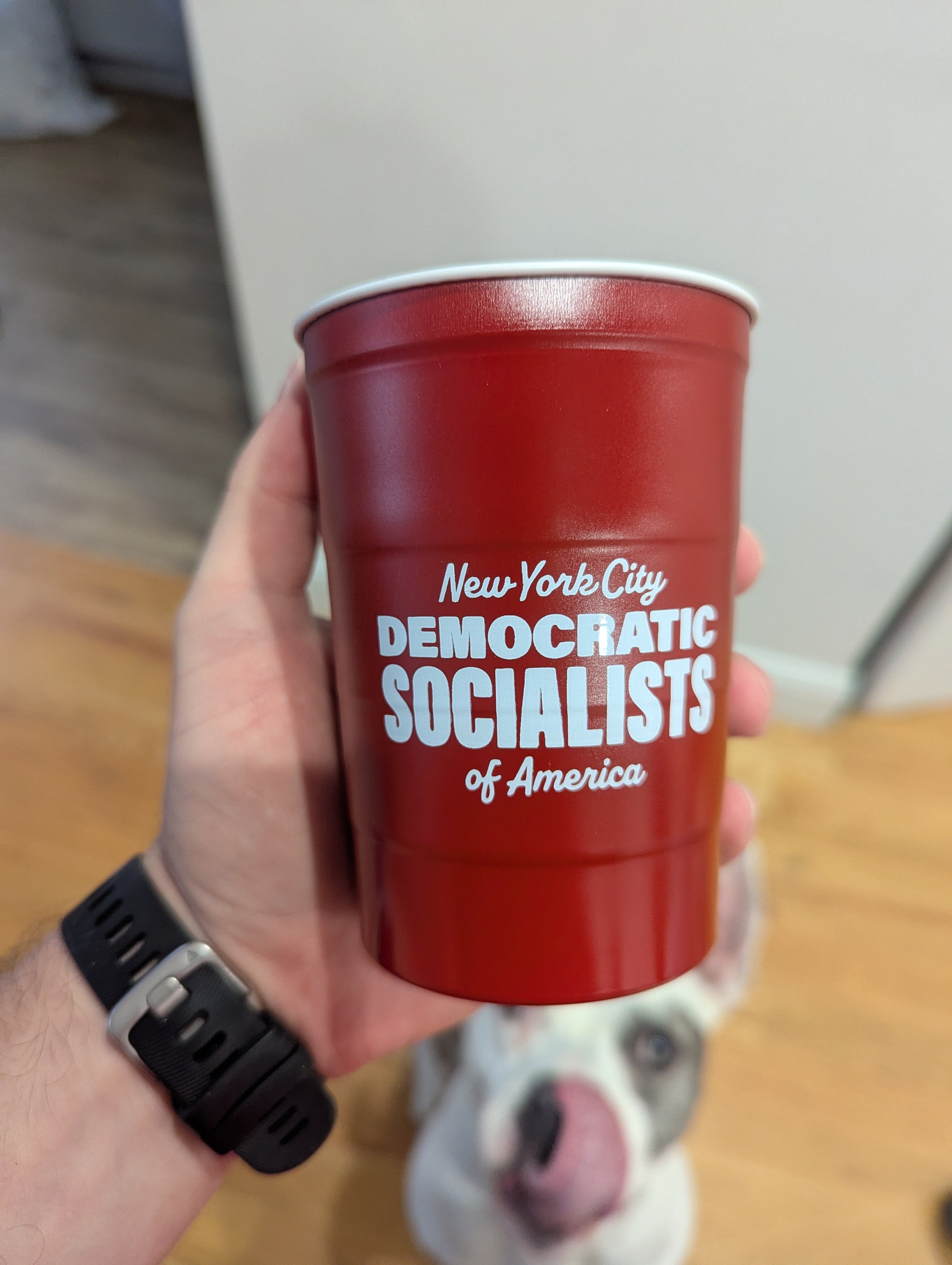 NYC-DSA Steel Party Cup