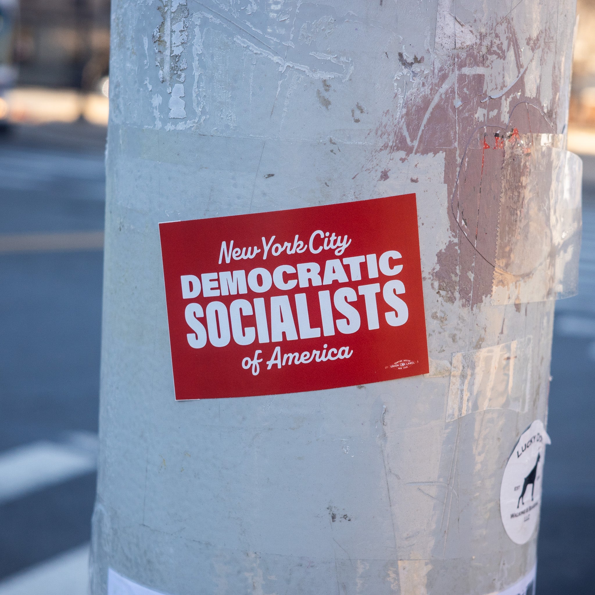 NYC-DSA Sticker