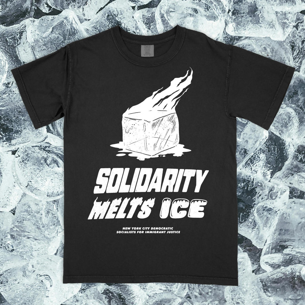 Solidarity Melts ICE