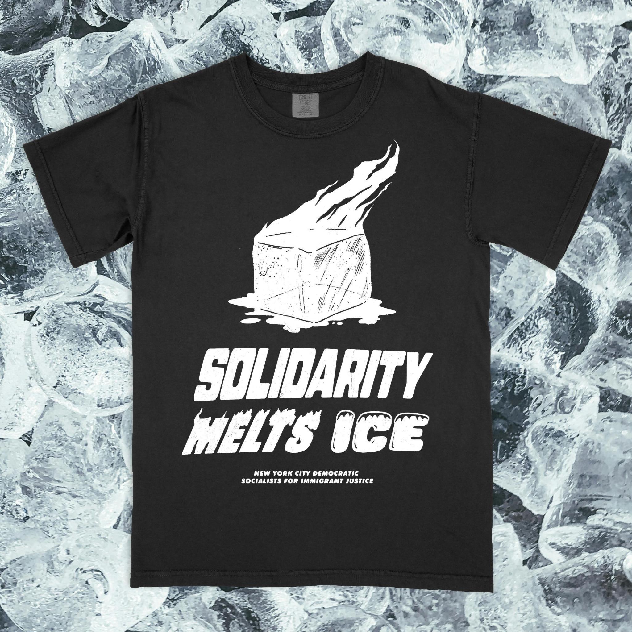 Solidarity Melts ICE