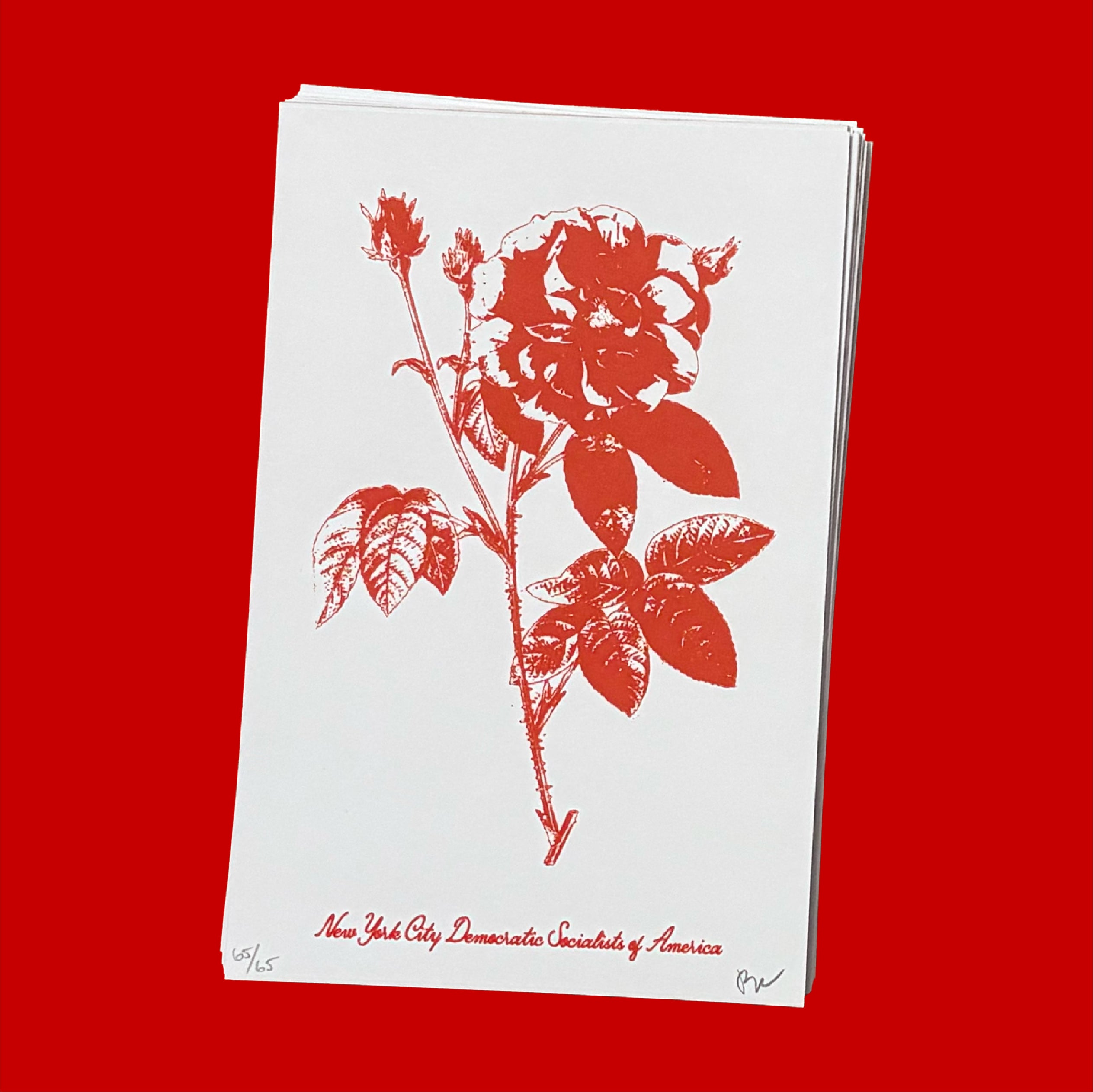 Rose Illustration Print