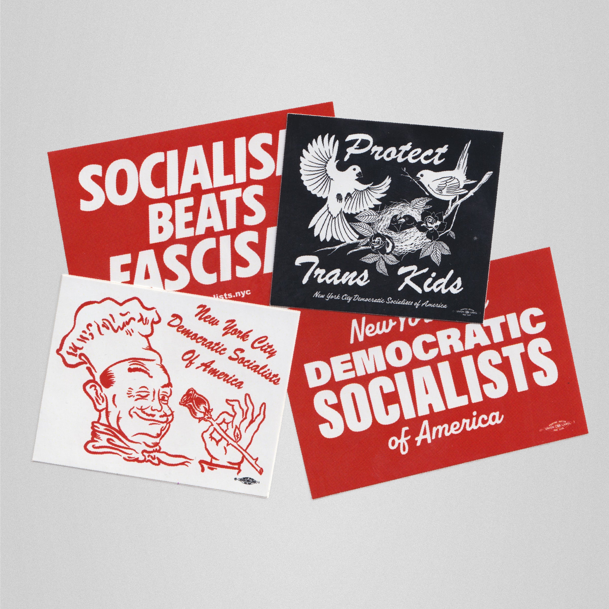 Sticker Pack – NYC-DSA Shop