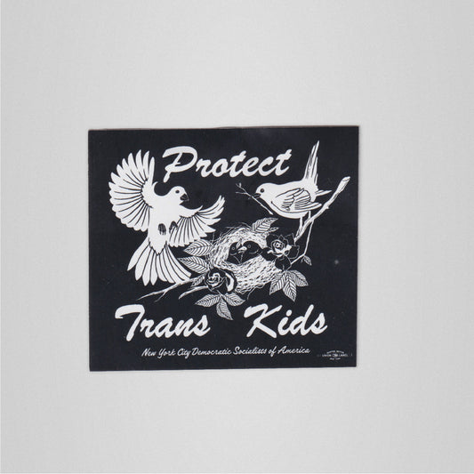 Protect Trans Kids Sticker Pack