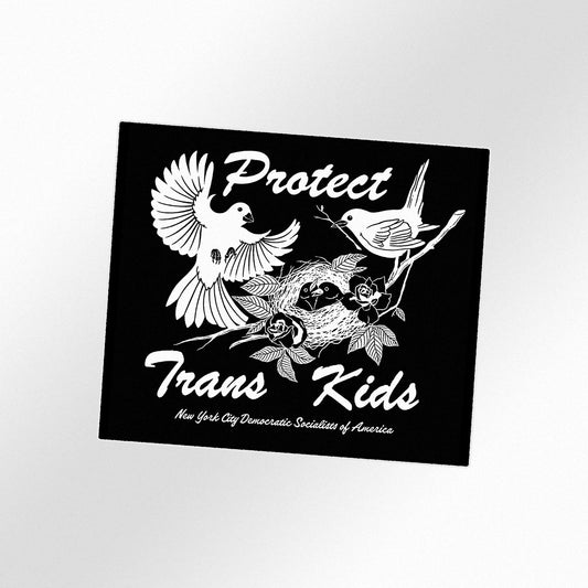 Protect Trans Kids Sticker
