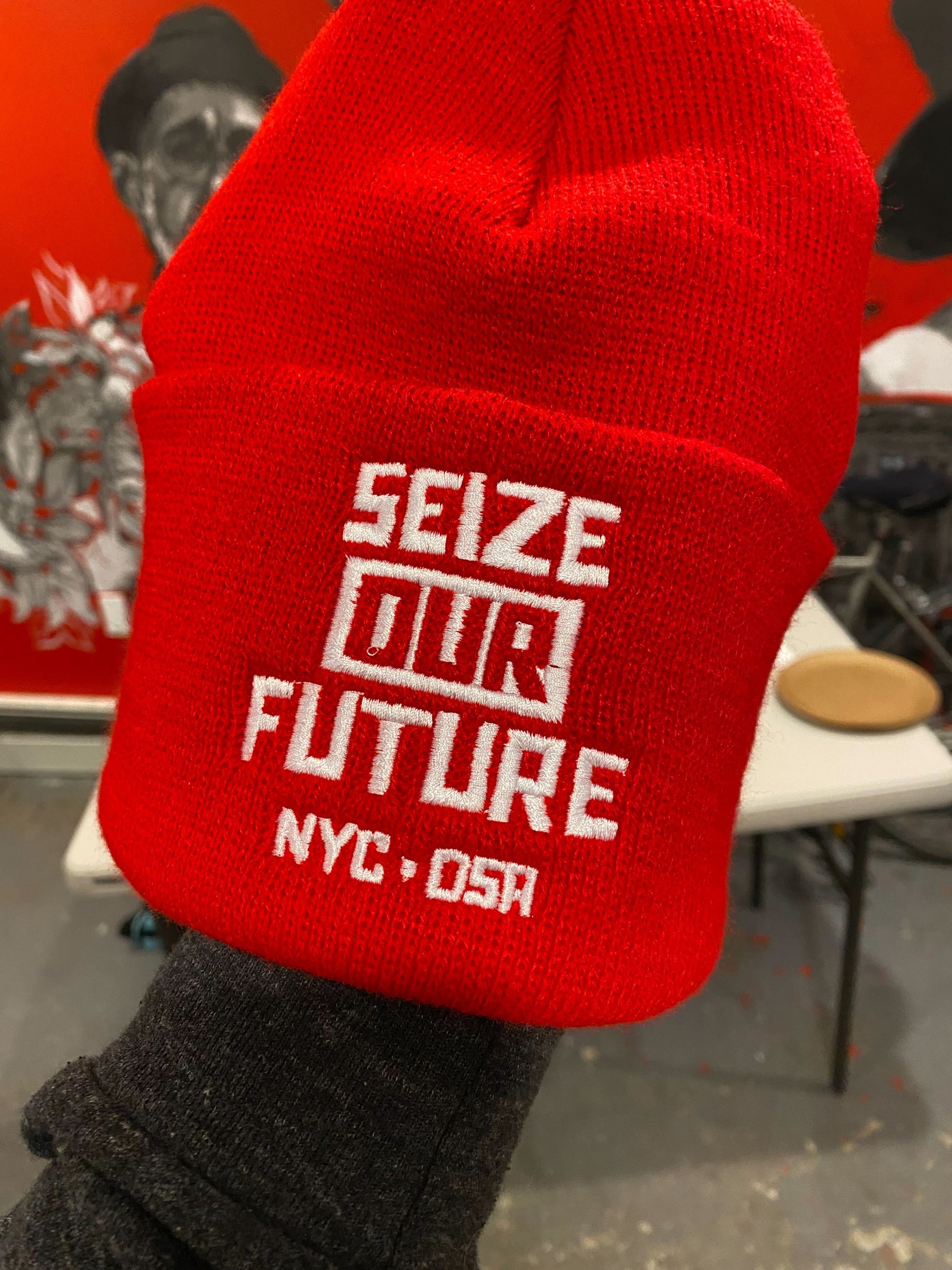 reverse side of beanie with logo: Seize our Future NYC-DSA